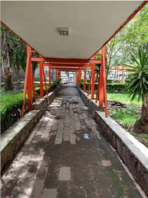 شقة Depto Equipado, A Min Del Centro Historico, Cdmx. مدينة مكسيكو المظهر الخارجي الصورة