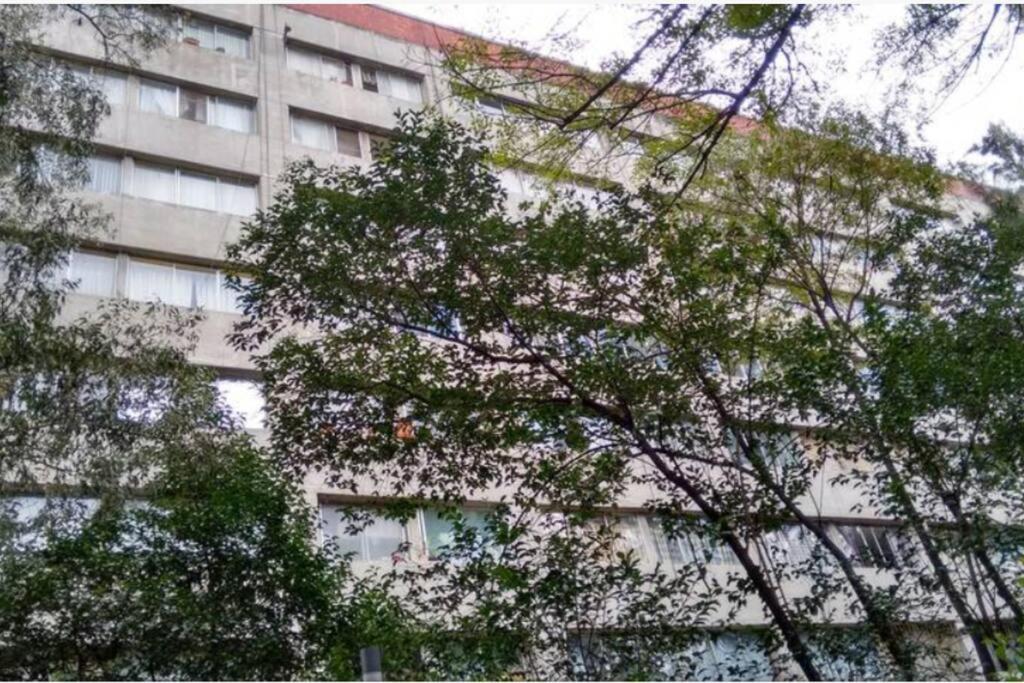 شقة Depto Equipado, A Min Del Centro Historico, Cdmx. مدينة مكسيكو المظهر الخارجي الصورة